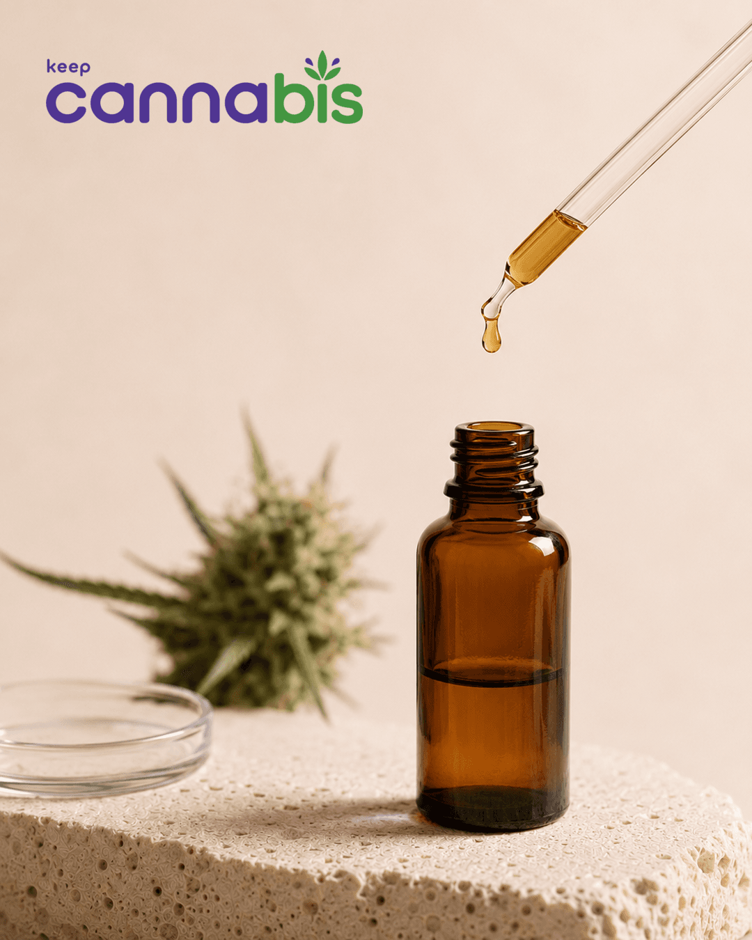 Óleo de cannabis sendo gotejado sobre bancada natural